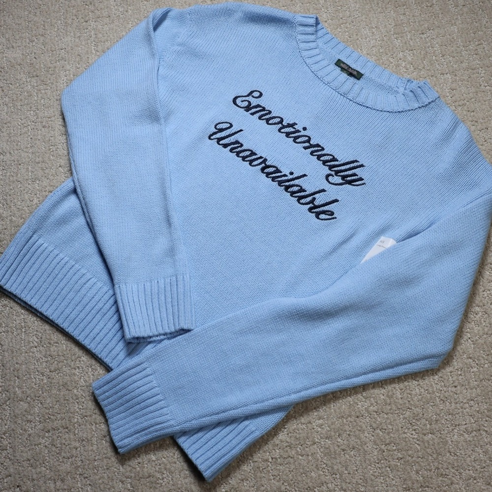 Wild Fable Emotionally Unavailable Blue Embroidered Sweater XS New